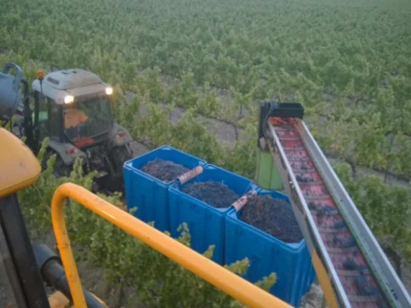 mr-wineries1