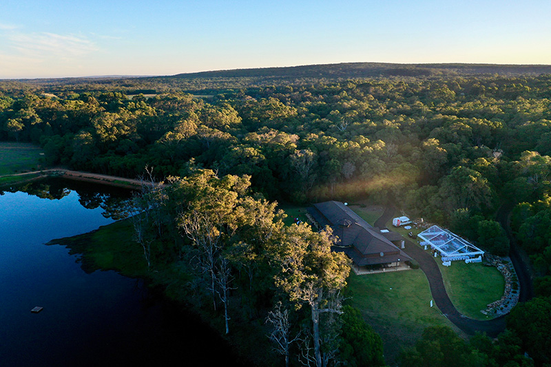 Harmony Forest